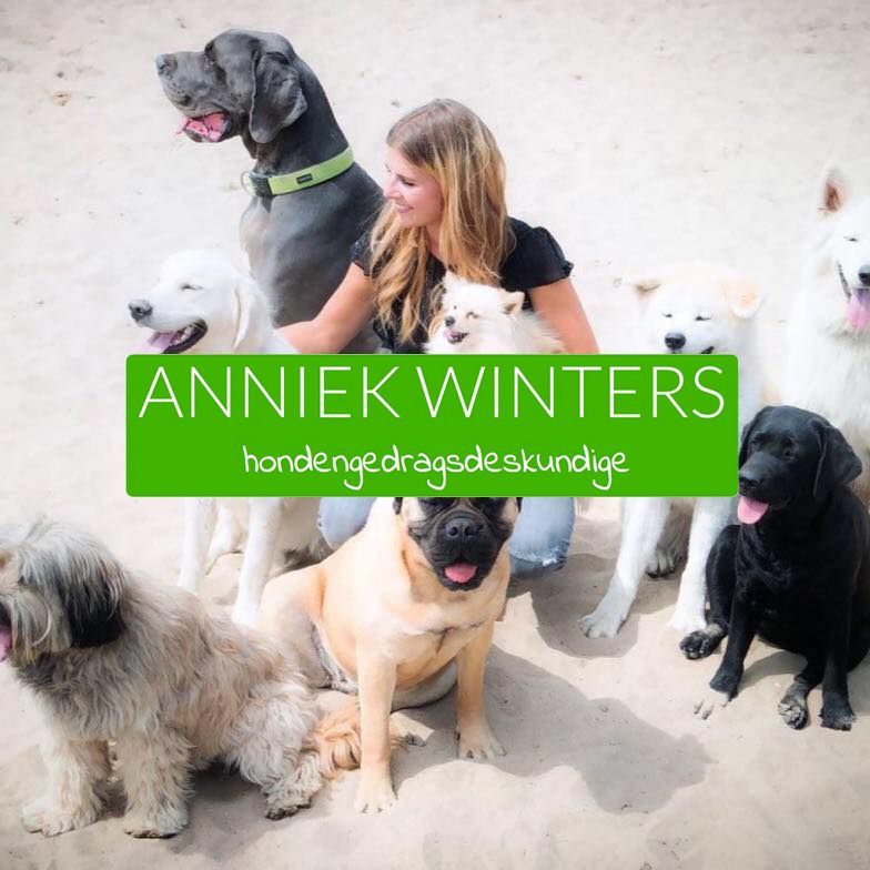 Nieuw: online training Anniek Winters