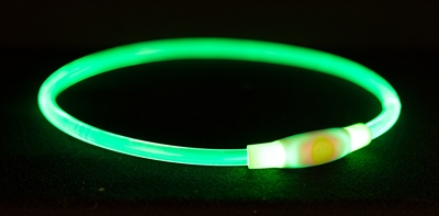 Trixie halsband usb flash light lichtgevend oplaadbaar groen (40X0,8 CM)