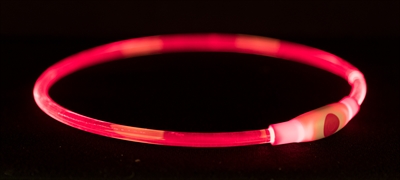Trixie halsband usb flash light lichtgevend oplaadbaar rood (40X0,8 CM)