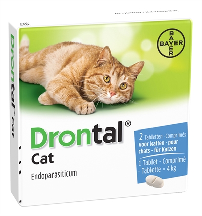 Bayer drontal ontworming kat