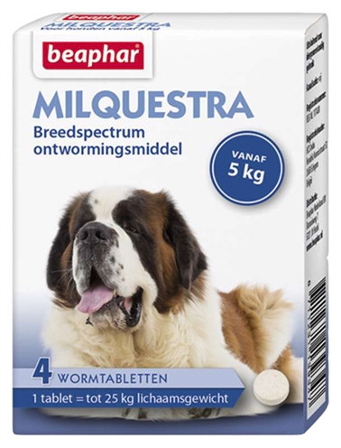Beaphar milquestra hond (4 TBL)