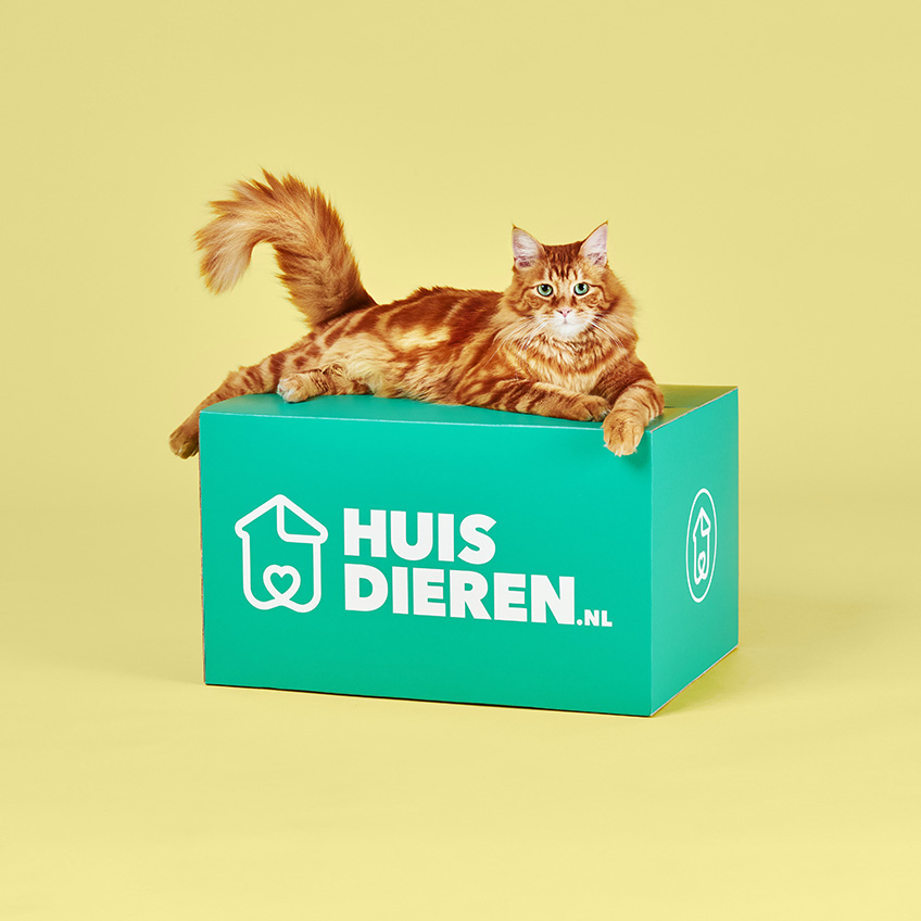 Chinese kool Vijftig Uitstroom Huisdieren.nl | Shop voor katten | Alles wat je kat nodig heeft!