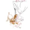 Kom bij t baasje - het eerste honden leesboek - Afbeelding 5