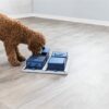 Trixie dog activity poker box 1 - Afbeelding 6