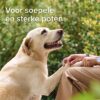 Beaphar voetenzolenspray - Afbeelding 8