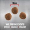 Orijen whole prey 6 fish dog - Afbeelding 3