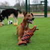 Happy pet nuts for knots extreme spoel 8 vorm tugger grijs / oranje - Afbeelding 3