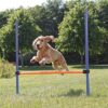 Trixie dog activity agility horde blauw / oranje - Afbeelding 3