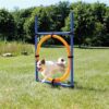 Trixie dog activity agility ring blauw / oranje - Afbeelding 2