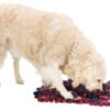 Trixie activity snuffelmat assorti - Afbeelding 9