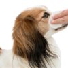 Trixie eye care reinigingspads voor ogen - Afbeelding 3