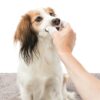 Trixie dentalcare vingerpads - Afbeelding 4