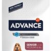 Advance medium senior - Afbeelding 2