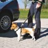 Trixie hondentuig auto inclusief gordel zwart - Afbeelding 2