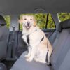 Trixie hondentuig auto inclusief gordel zwart - Afbeelding 4