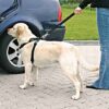 Trixie hondentuig auto inclusief gordel zwart - Afbeelding 5