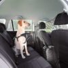 Trixie net voor auto zwart - Afbeelding 2
