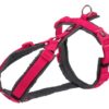 Trixie hondentuig premium trekking fuchsia / grijs