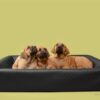 Bia bed hondenmand original square zwart - Afbeelding 2