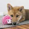 Kong comfort hedgehug puppy egel assorti - Afbeelding 2