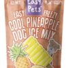 Easypets easy freezy dog ice hondenijs ananas