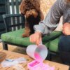 Easypets easy freezy dog ice hondenijs ananas - Afbeelding 3