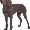 Trixie pootbescherming walker active long zwart - Afbeelding 10