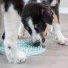 Trixie junior likplaat mintgroen - Afbeelding 4
