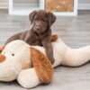 Trixie knuffel hondbenny pluche beige / bruin - Afbeelding 7