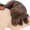 Trixie knuffel hondbenny pluche beige / bruin - Afbeelding 9