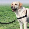 Petsafe easy walk anti-trek tuig zwart - Afbeelding 3