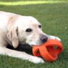 Happy pet grubber interactieve voetbal oranje - Afbeelding 2