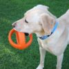 Happy pet grubber interactieve voetbal oranje - Afbeelding 4