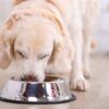 Happy pet voerbak antislip - Afbeelding 2