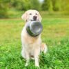 Happy pet voerbak rvs - Afbeelding 2