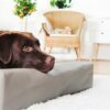Bia bed kunstleer hoes hondenmand taupe - Afbeelding 2