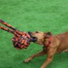 Happy pet nuts for knots extreme bal tugger - Afbeelding 2