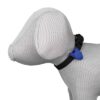 Trixie flasher veiligheidslampje assorti - Afbeelding 7