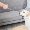 Trixie dog activity target stick aanwijsstok assorti - Afbeelding 10