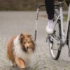 Trixie bikerset fietsbeugel springer - Afbeelding 3