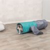 Trixie speeltunnel kat - Afbeelding 4
