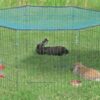 Trixie natura knaagdierren met beschermnet groen - Afbeelding 5