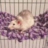 Rosewood cargo net voor rat of fret - Afbeelding 6