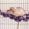 Rosewood cargo net voor rat of fret - Afbeelding 7