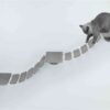Trixie klim / klauterladder wand taupe - Afbeelding 8
