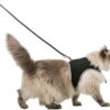 Trixie kattentuig soft met riem assorti - Afbeelding 9