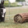 Trixie wilgentunnel konijn - Afbeelding 3