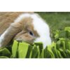 Rosewood snuffelmat knaagdier zwart / groen - Afbeelding 3