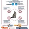 Advance cat sterilized sensitive senior 10+ - Afbeelding 3