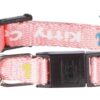 Trixie halsband kat junior kitten kitty cat assorti - Afbeelding 6